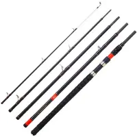 Daiwa Megaforce Big Fish Welsrute Silber 2.40 m / 100-300 g Silber 2.40 m