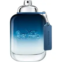 Coach Blue Eau de Toilette 100 ml