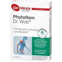 Dr. Wolz Phytoflam Dr.Wolz Kapseln 60 St
