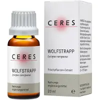 CERES Heilmittel GmbH Ceres Wolfstrapp Lycopus Europaeus Extrakt Tropfen 20 ml