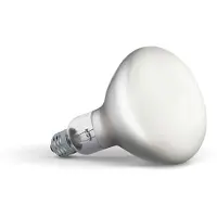 Flos Leuchtmittel LED 13W (1300lm) 2700K Dimbar E27 - , dimmbar