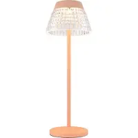 Globo 58456P, Acryl, Kunststoff, Metall, IP20, III, 1 W, LED, 3000 K