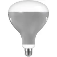 Flos Leuchtmittel LED 13W (1180lm) R125 2700K E27 - Greenplux , dimmbar