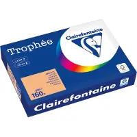 Clairefontaine Apricot A4 Farbiges Papier 160 g/m² (250 Blatt)