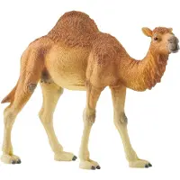 Ginza.se WILD LIFE 14832, 3 Jahr(e), Safari, Wild animals / adventure toys, Mehrfarbig, Kunststoff, 1 Stück(e)