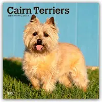 BrownTrout Cairn Terrier Kalender 2026