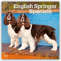 BrownTrout English Springer Spaniel Kalender 2026
