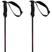 Völkl Rentastick Carbon Stöcke