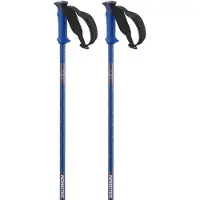 Salomon Polar Pro Stöcke