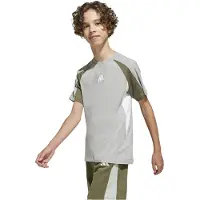 Adidas Seasonal Essentials Colorblock Kurzarm-t-shirt