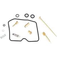 Keyster Kk-0243nfr Vergaser-reparaturset