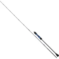 Daiwa Lexa Slow Jigging Rute