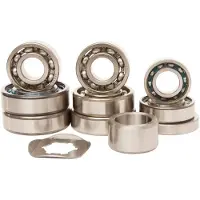 Hotrods Yamaha 350 Raptor 04-13/warrior 98-04 Lenklager-kit