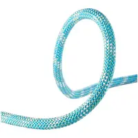 Edelrid Interstatic Protect 11 Mm Seil