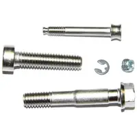 Formula Puro Bremssattelschrauben