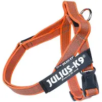 JULIUS K-9 Idc Mini Norwegian Hundegeschirr