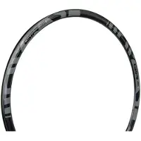 Gtr Rr Disc Felge
