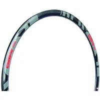 Gtr Rr Disc Felge