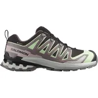 Salomon XA Pro 3D V9 GTX W Wanderschuh Grau in Gr. 42