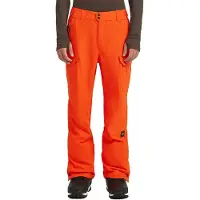 O'Neill Herren Hose FWC'Peak CARGO SNOW PANTS