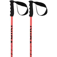 Völkl Speedstick Stöcke