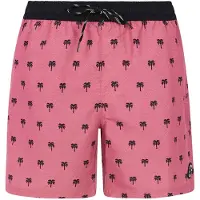 Protest Herren Badeshorts PRTParco
