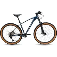 RALI Adv 0 Carbon 29´´ Slx Mountainbike