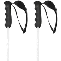 Head Worldcup Rebels Carbon Stöcke