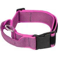 JULIUS K-9 Collar 50 Mm Hundehalsband