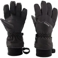 Sinner Phoenix Handschuhe