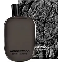 Comme des Garcons Wonderwood, Männer, 100 ml, Flüssiges Parfüm, Spray, 1 Stück(e)