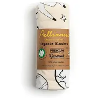 Pellianni Bio-decke Raum