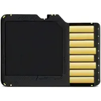 Garmin 010-10683-07, 16 GB, MicroSD, Klasse 10, Schwarz