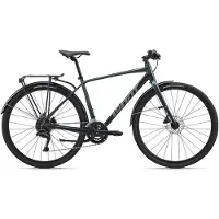Giant Escape City Disc 2 Cues U3020 2026 Fahrrad