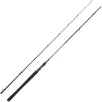 Daiwa Exceler Baitcastrute 2 Abschnitte