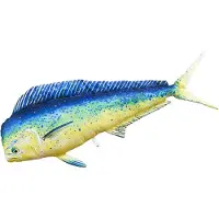 Gaby Das Mahi Mahi Riesenkissen