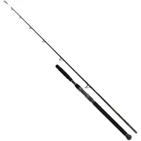 Shimano Beastmaster AX Catfish, 3m, 9,84ft, 0-400g, 2 Teile, Wels Angelrute, Moderate Fast, SBMCAXB300