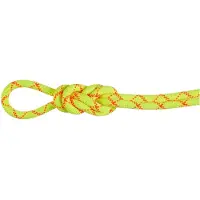 Mammut Alpine Core Protect 9.5 Mm Seil