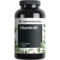 Natural Elements Vitamin B5 Kapseln - 240 Kapseln_für 8 Monate
