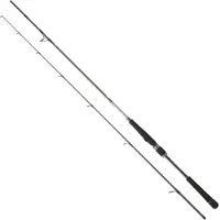 Daiwa Saltist Seabass Spinnrute