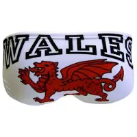 Turbo Wales Dragon Badeslip
