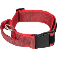 JULIUS K-9 Collar 50 Mm Hundehalsband