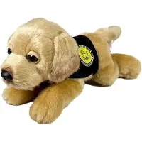 Bocalan Labrador-teddy Mit Weste 21 Cm