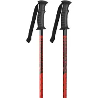 K2 France Speed Rental Stöcke