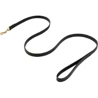 Br Dog Lead Führleine