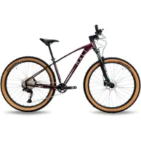 RALI Adv I 29´´ Cues Mountainbike