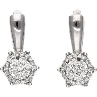 NAEMI Women Earrings in Silver | Gr.: onesize