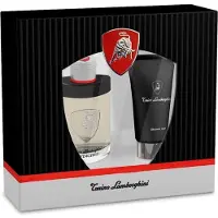 Lamborghini Invincible Fensterkasten, 2 Stück