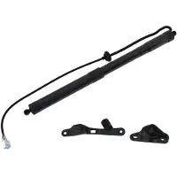 Diederichs Gasfeder, Koffer-/Laderaum 9100512 hinten rechts für TOYOTA