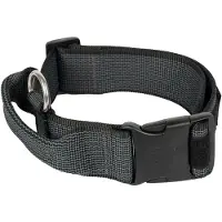 JULIUS K-9 Collar 40 Mm Hundehalsband
